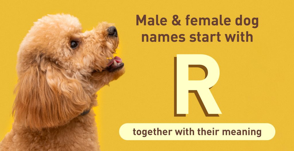 Dog Names Start With R