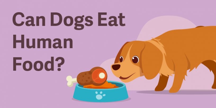 Can Dogs Eat Human Food