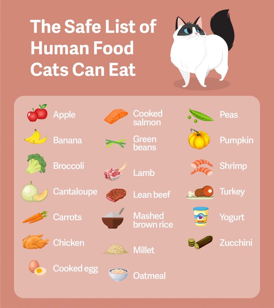 human food that cats can eat