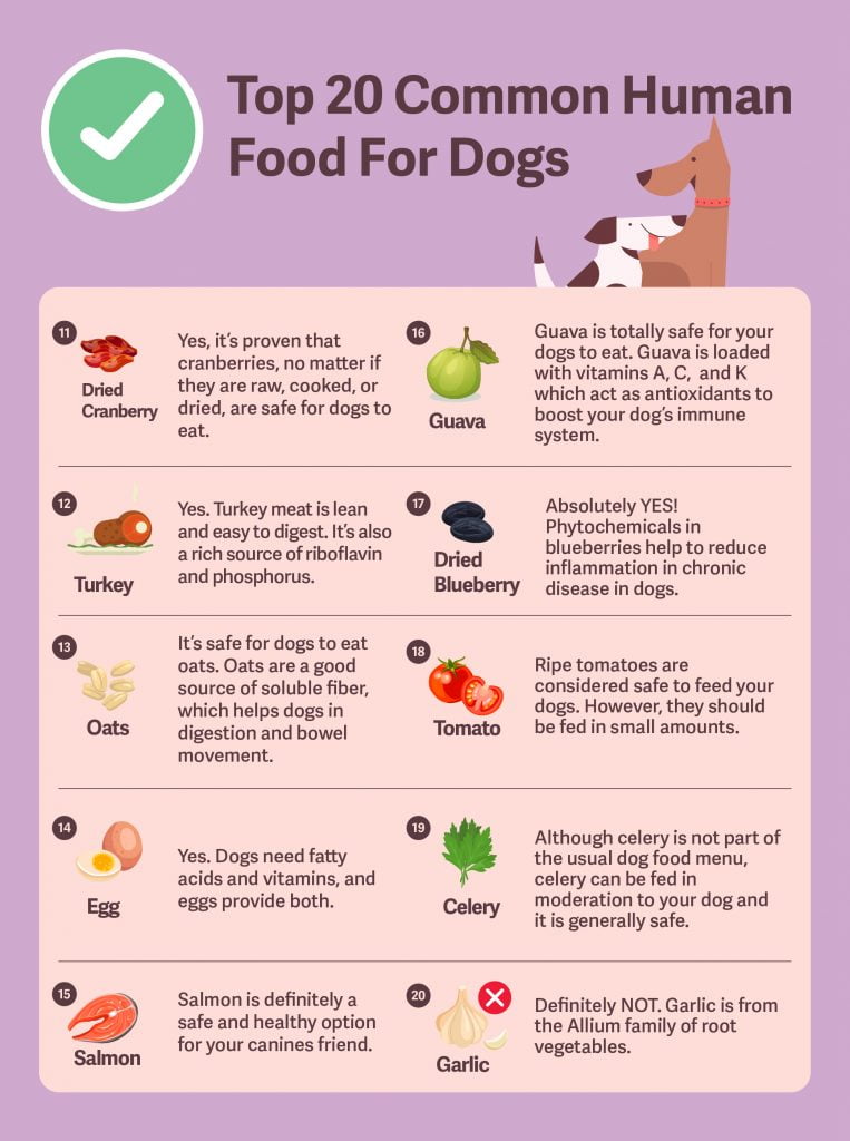 human food dogs can eat - 2/2