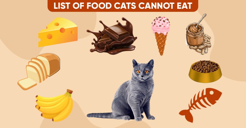 what can cats not eat