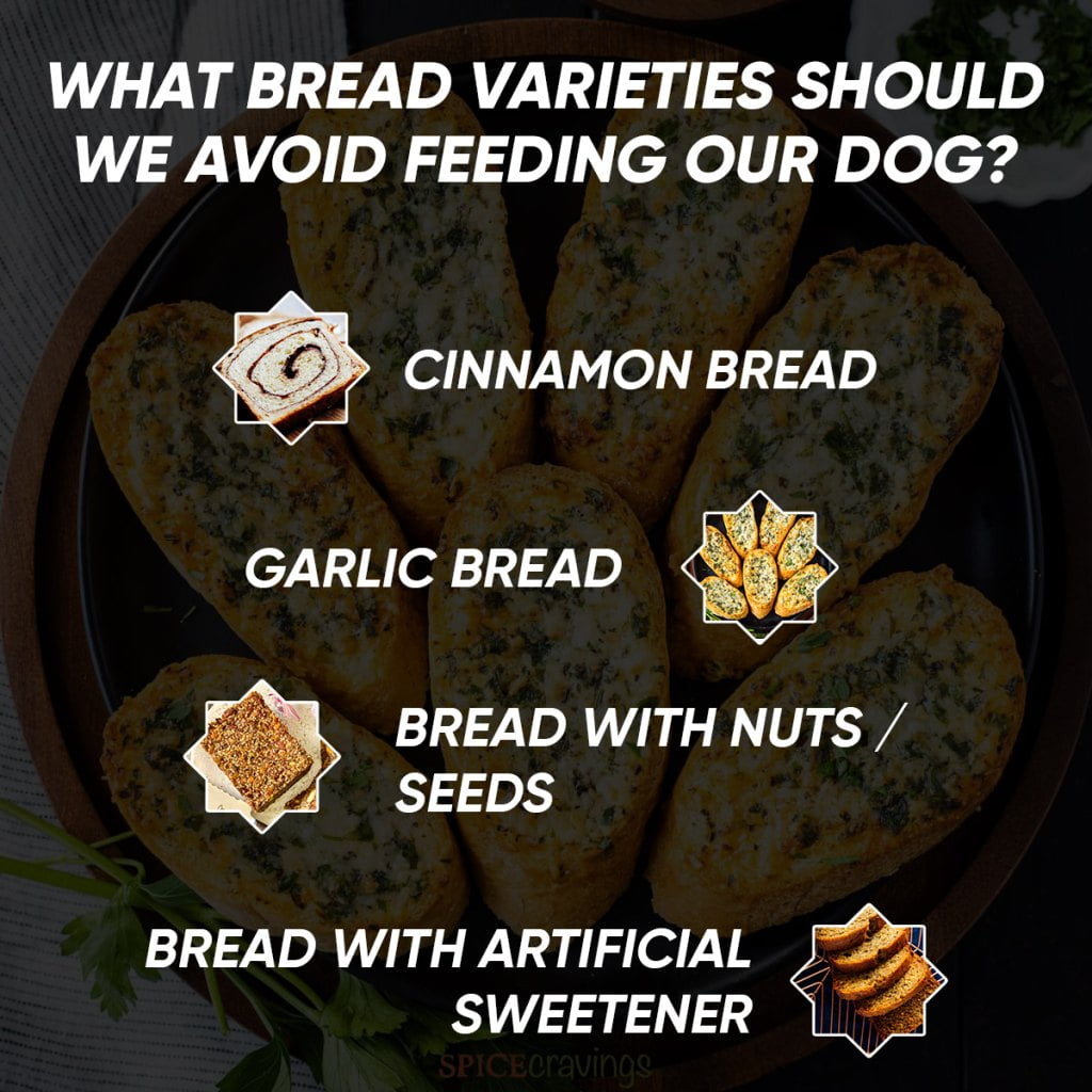 What Bread Varieties Should We Avoid Feeding Our Dog