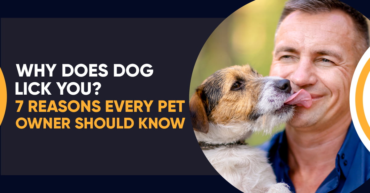 Why Does Dog Lick You? 7 Reasons Every Pet Owner Should Know