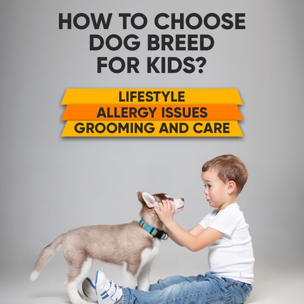 How to Choose the Dog Breed for Kids