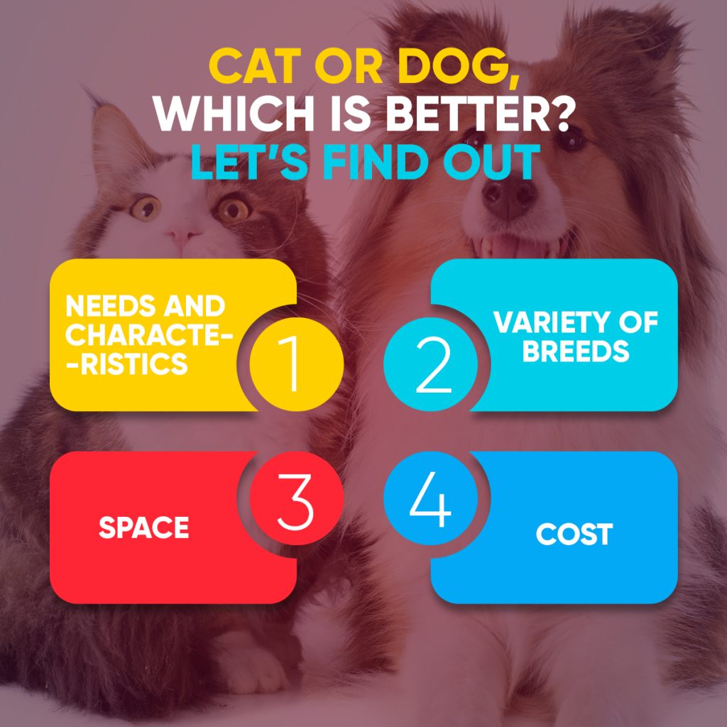 factors that influence to choose cat or dog