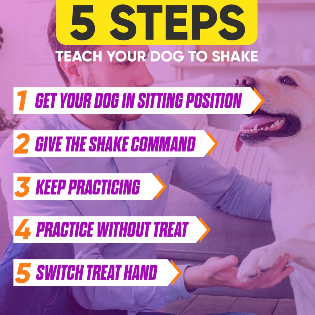 Teach Dog How to Shake