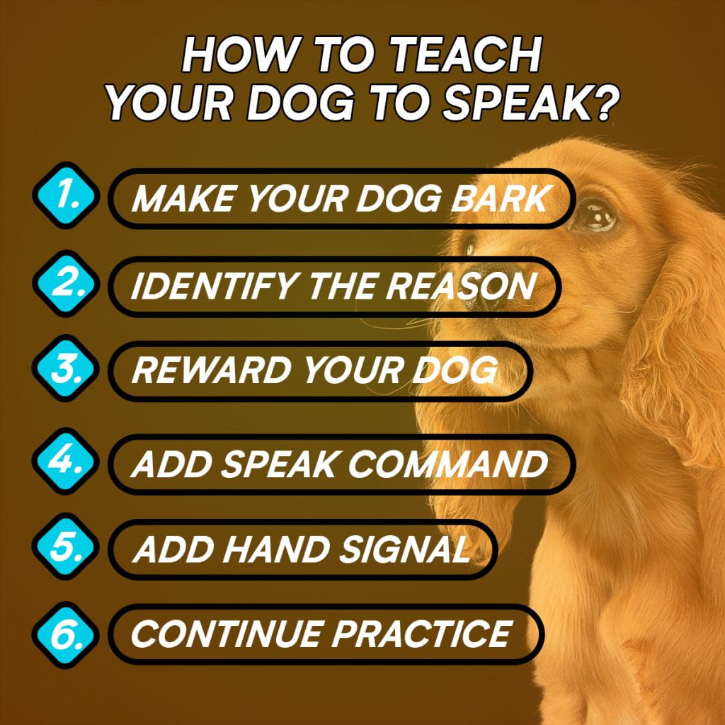 Teach Dog to Speak