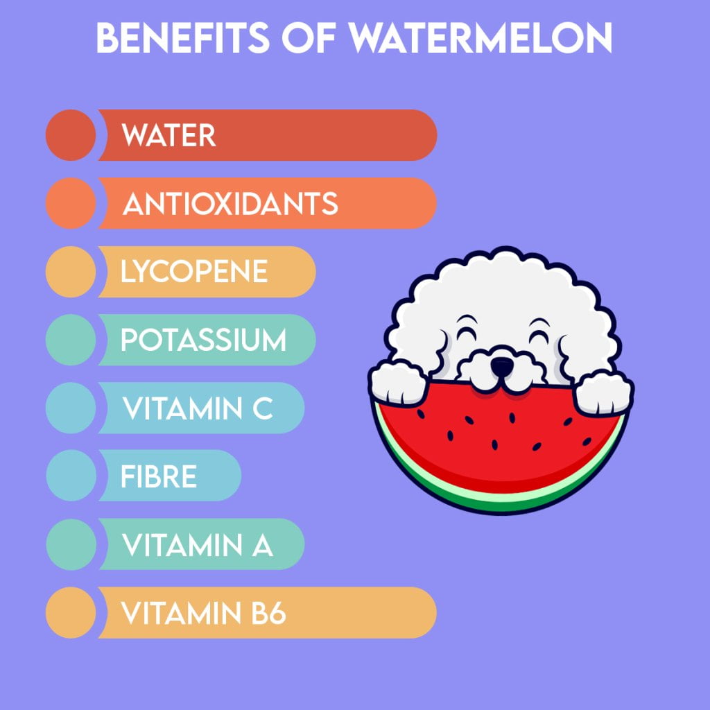 Benefits of Watermelon for dog