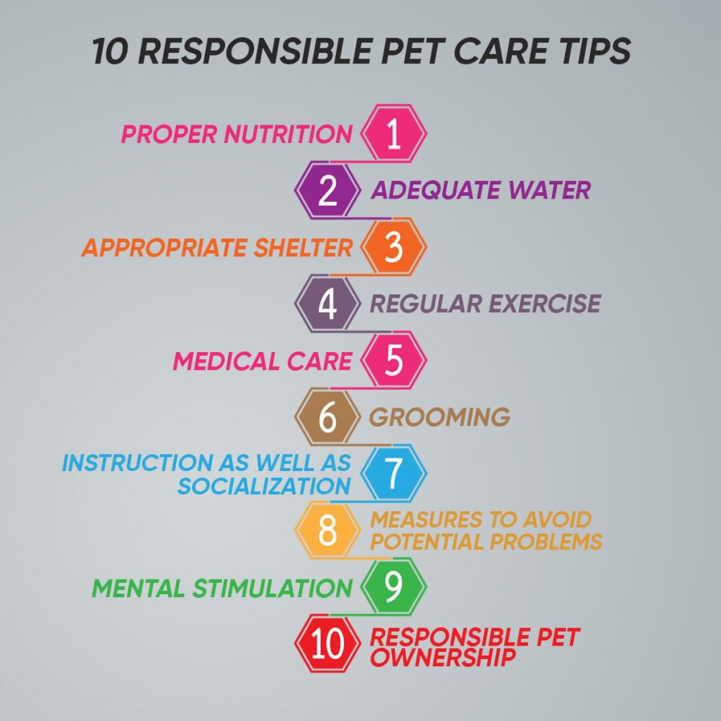 10 Responsible Pet Care Tips