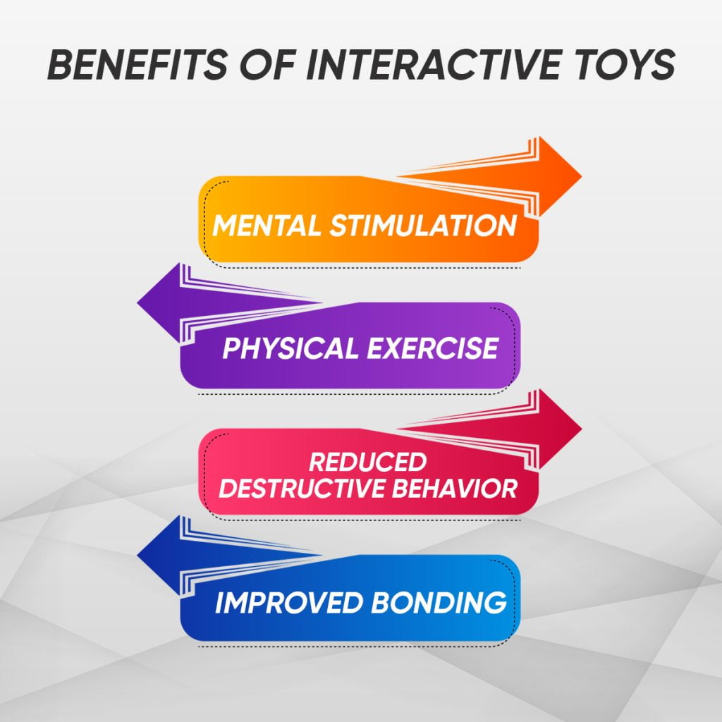 Benefits of Interactive Toys